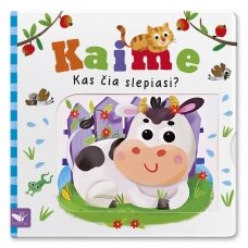 BROKAS. Kas čia slepiasi? Kaime. Su judančiais elementais (įlenktas kampas)